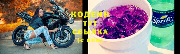стаф Белокуриха