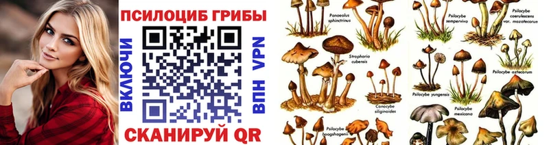 продажа наркотиков  Саяногорск  мега ССЫЛКА  Галлюциногенные грибы мухоморы 
