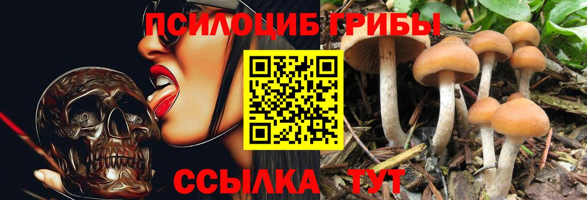 Псилоцибиновые грибы Psilocybe  купить наркотики цена  Саяногорск  Вход с VPN 